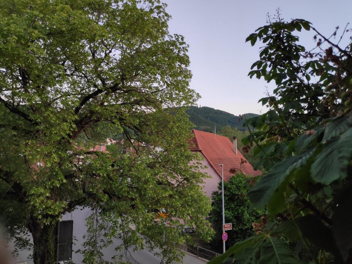 Ferienwohnungen Und Zimmer In Reutlingen-Goenningen 외부 사진